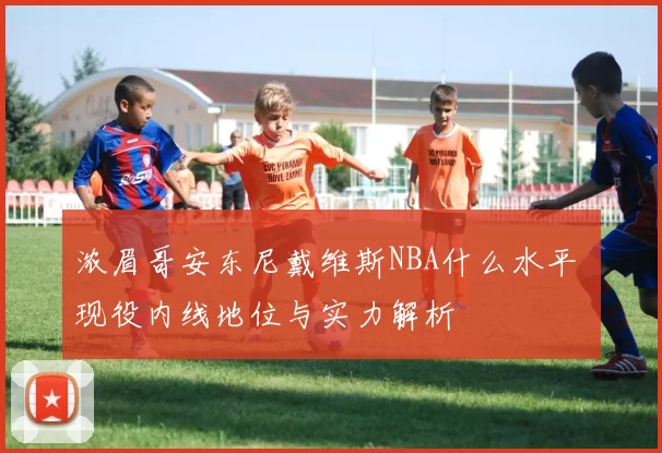 浓眉哥安东尼戴维斯NBA什么水平 现役内线地位与实力解析