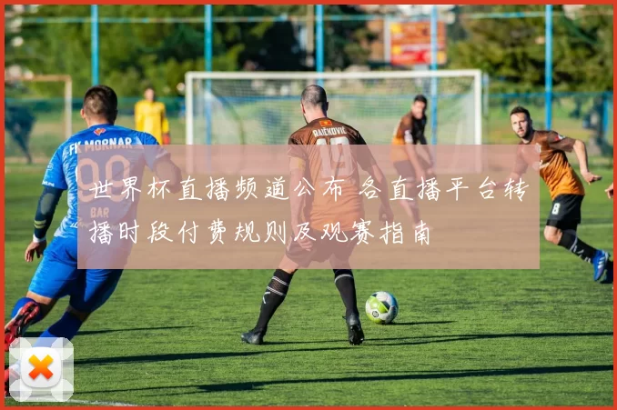 世界杯直播频道公布 各直播平台转播时段付费规则及观赛指南