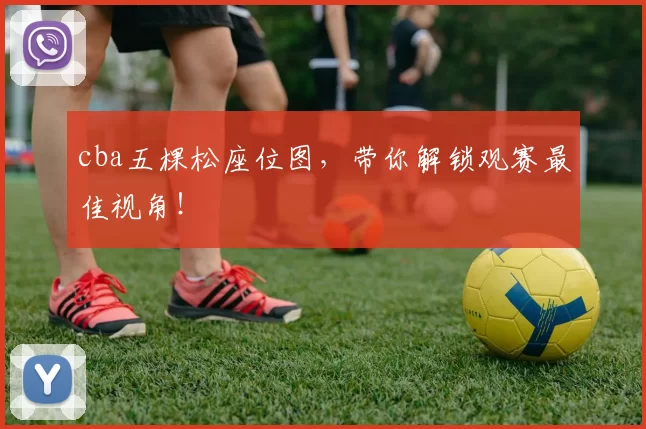cba五棵松座位图,带你解锁观赛最佳视角!